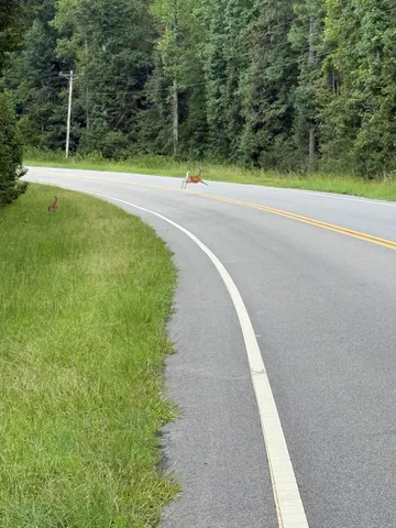 $125,000 | 0 State Rd S-6-169, Williston, SC 29853