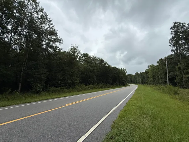 $125,000 | 0 State Rd S-6-169, Williston, SC 29853