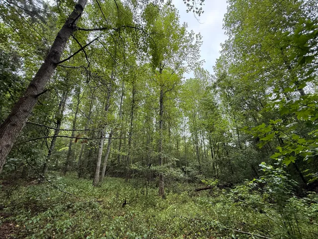 $125,000 | 0 State Rd S-6-169, Williston, SC 29853