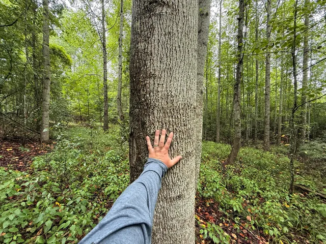 $125,000 | 0 State Rd S-6-169, Williston, SC 29853