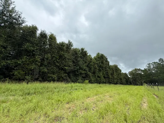 $125,000 | 0 State Rd S-6-169, Williston, SC 29853