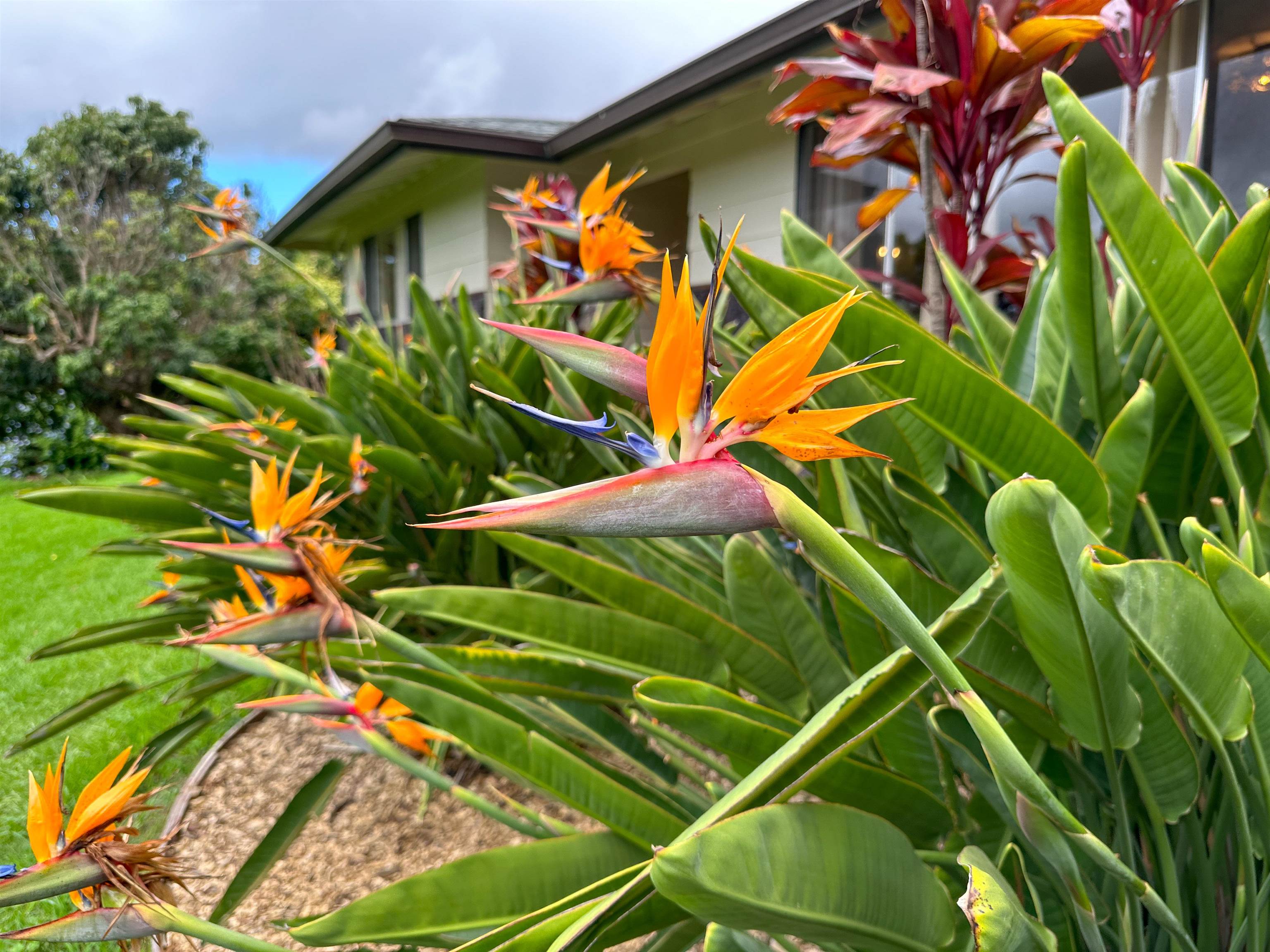 1875 Lower Kula Road Kula, HI 96790 - Photo 33 of 36 a view of an outdoor space and a street view