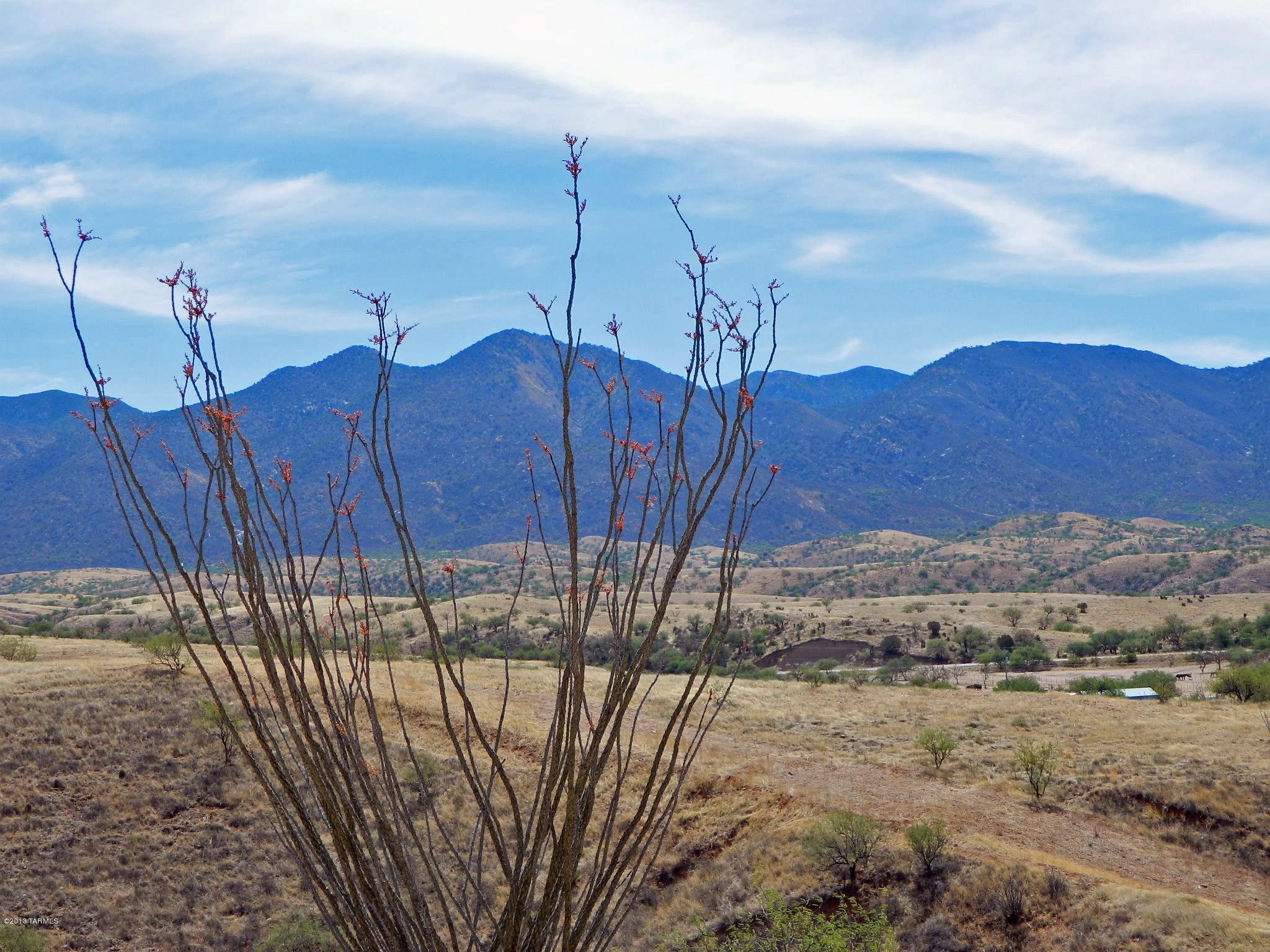 18 Baca Court Nogales, AZ 85621 - Photo 4 of 6