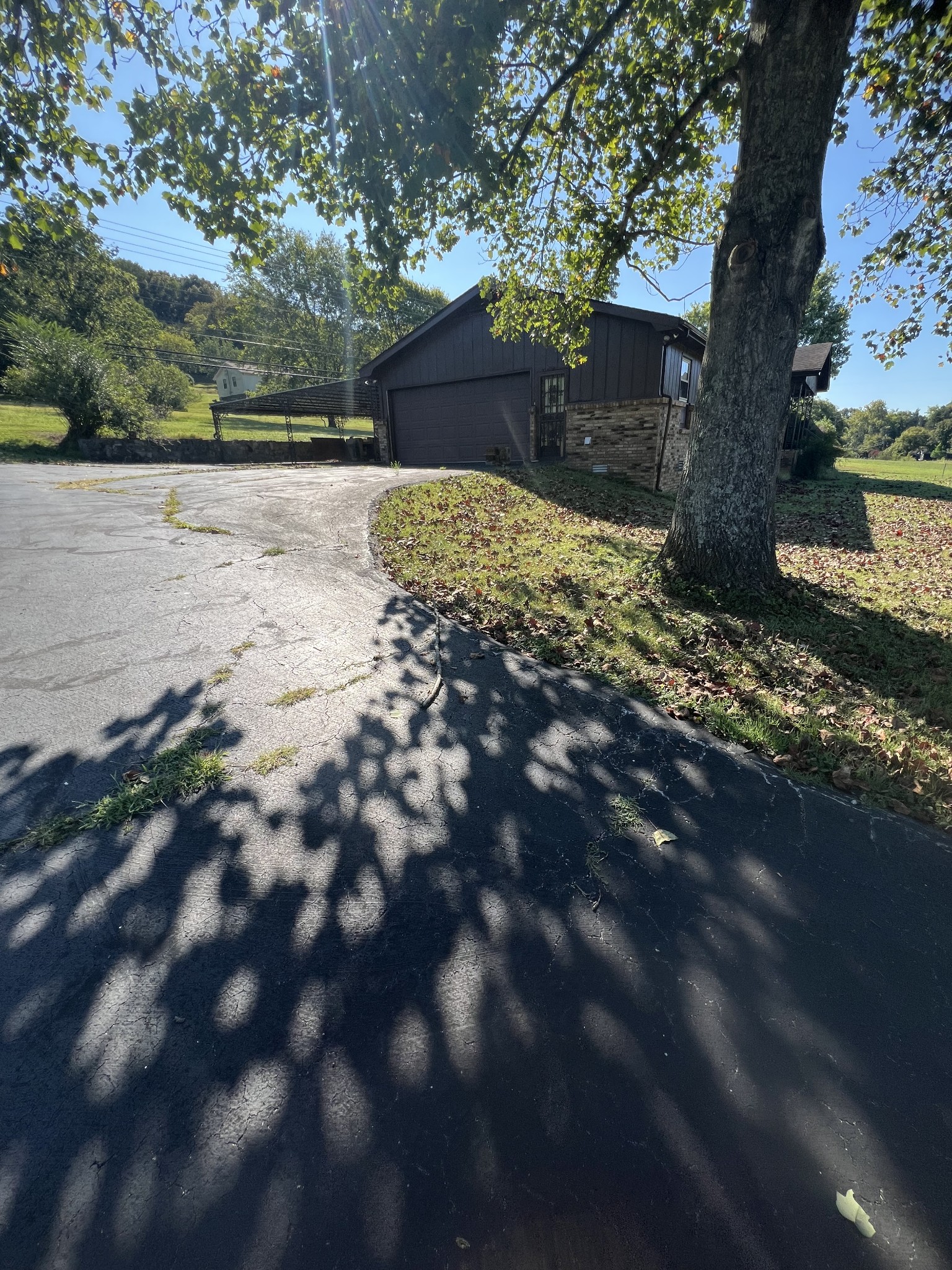 170 Turkey Creek Road Carthage, TN 37030 - Photo 5 of 23 a view of yard with tree in the background