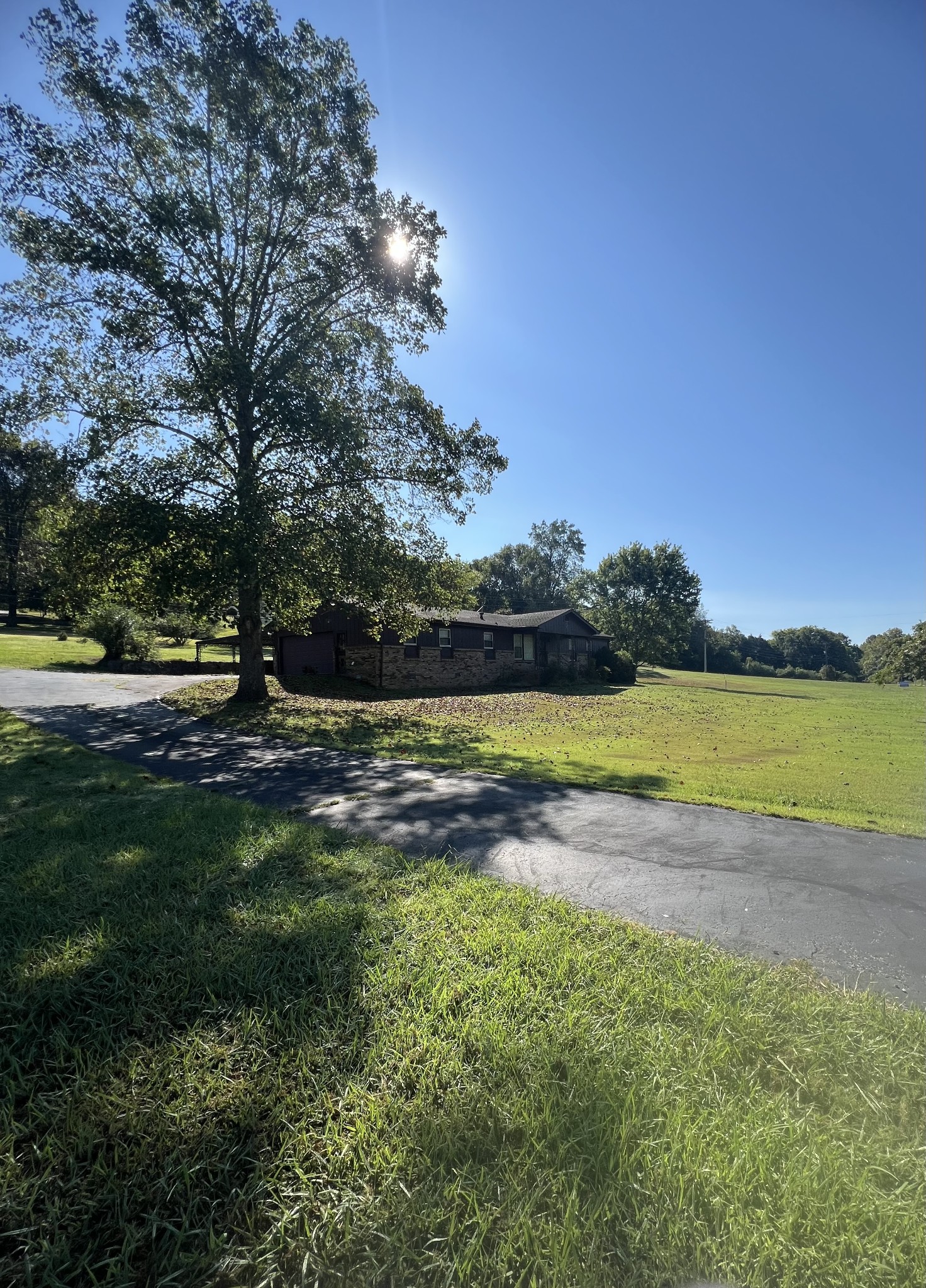170 Turkey Creek Road Carthage, TN 37030 - Photo 7 of 23 a view of outdoor space with deck and yard