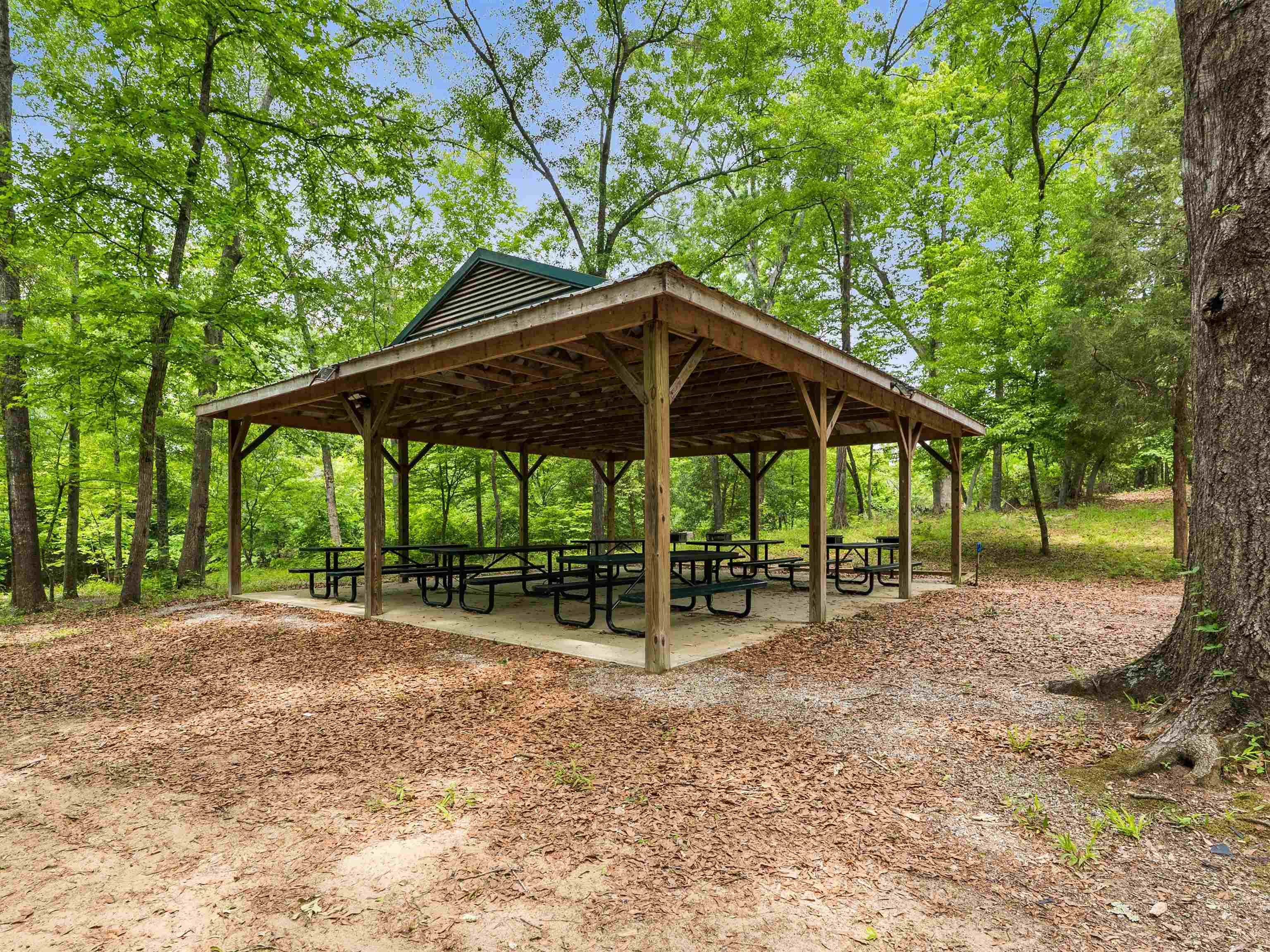102 Mohegan Way Greenville, SC 29607 - Photo 47 of 50