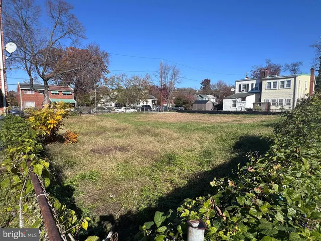 a view of a big yard with plants and large trees