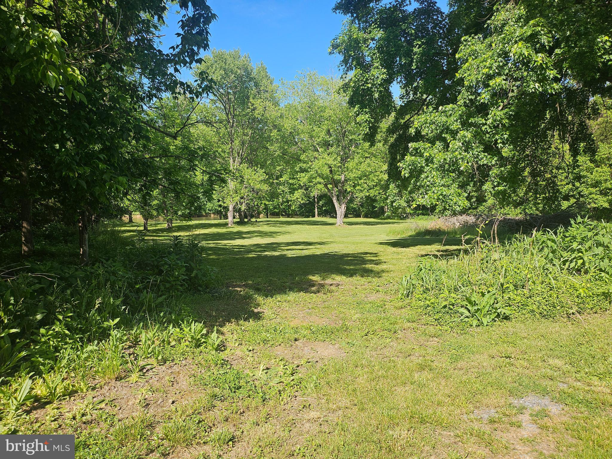 Deer Rapids Road Strasburg, VA 22657 - Photo 4 of 8 Direct Across Is Community Access to River.