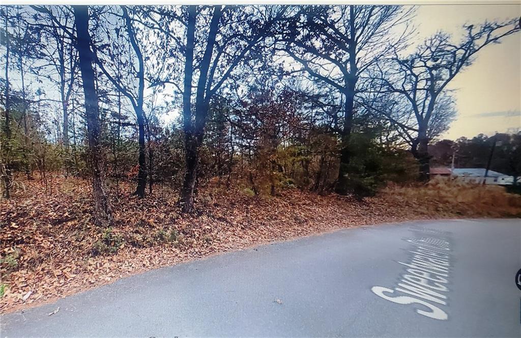 0 Sweetwater Church Road Dawsonville, GA 30534 - Photo 2 of 9 a view of a yard with plants and trees