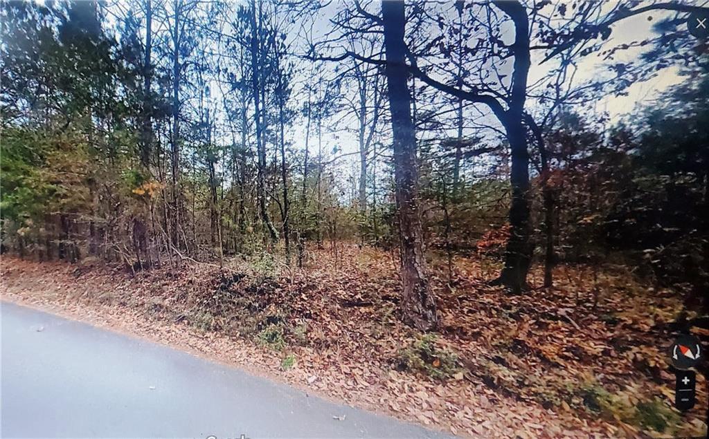 0 Sweetwater Church Road Dawsonville, GA 30534 - Photo 5 of 9 a view of a forest filled with trees