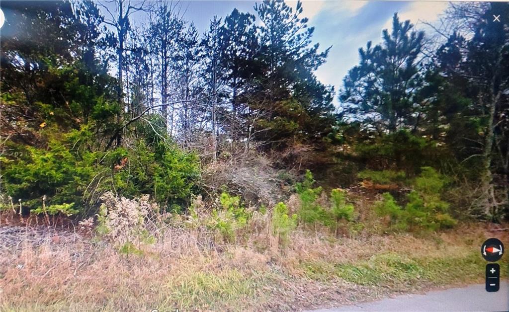 0 Sweetwater Church Road Dawsonville, GA 30534 - Photo 7 of 9 a backyard of a house with lots of green space