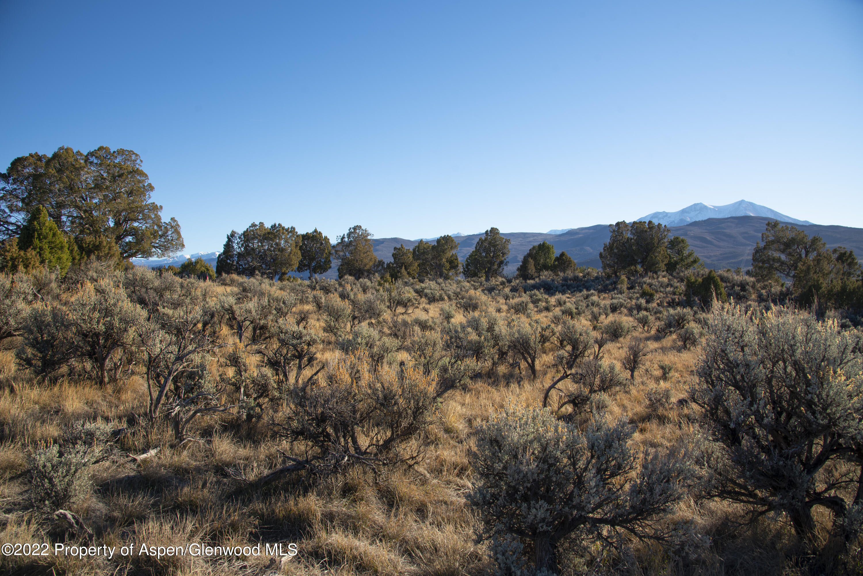 382 Whitecloud Road Carbondale, CO 81623 - Photo 9 of 12 WhiteCloud_Lot4_HiRes21120223