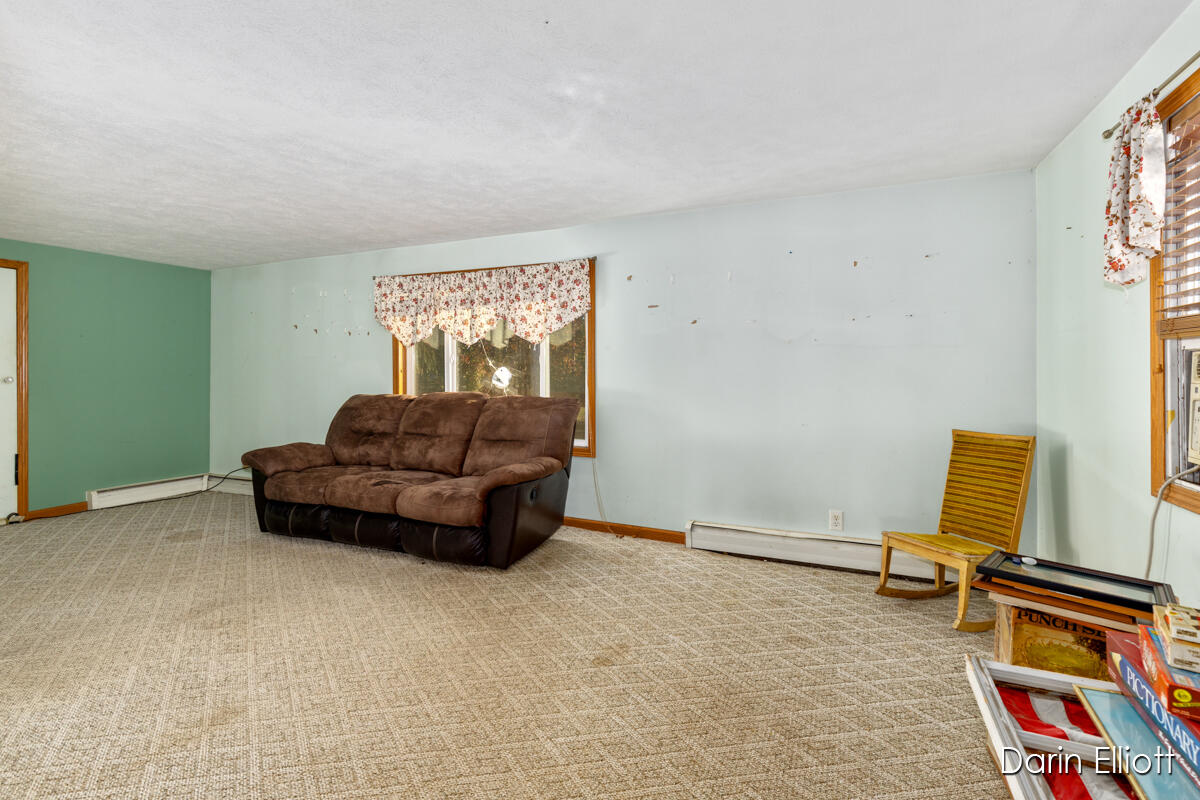 4701 East Riverside Drive Lyons, MI 48851 - Photo 11 of 34 IMG_1005