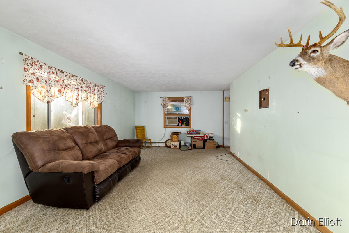 4701 East Riverside Drive Lyons, MI 48851 - Photo 9 of 34 IMG_1003