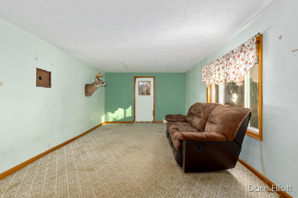 4701 East Riverside Drive Lyons, MI 48851 - Photo 10 of 34 IMG_1004