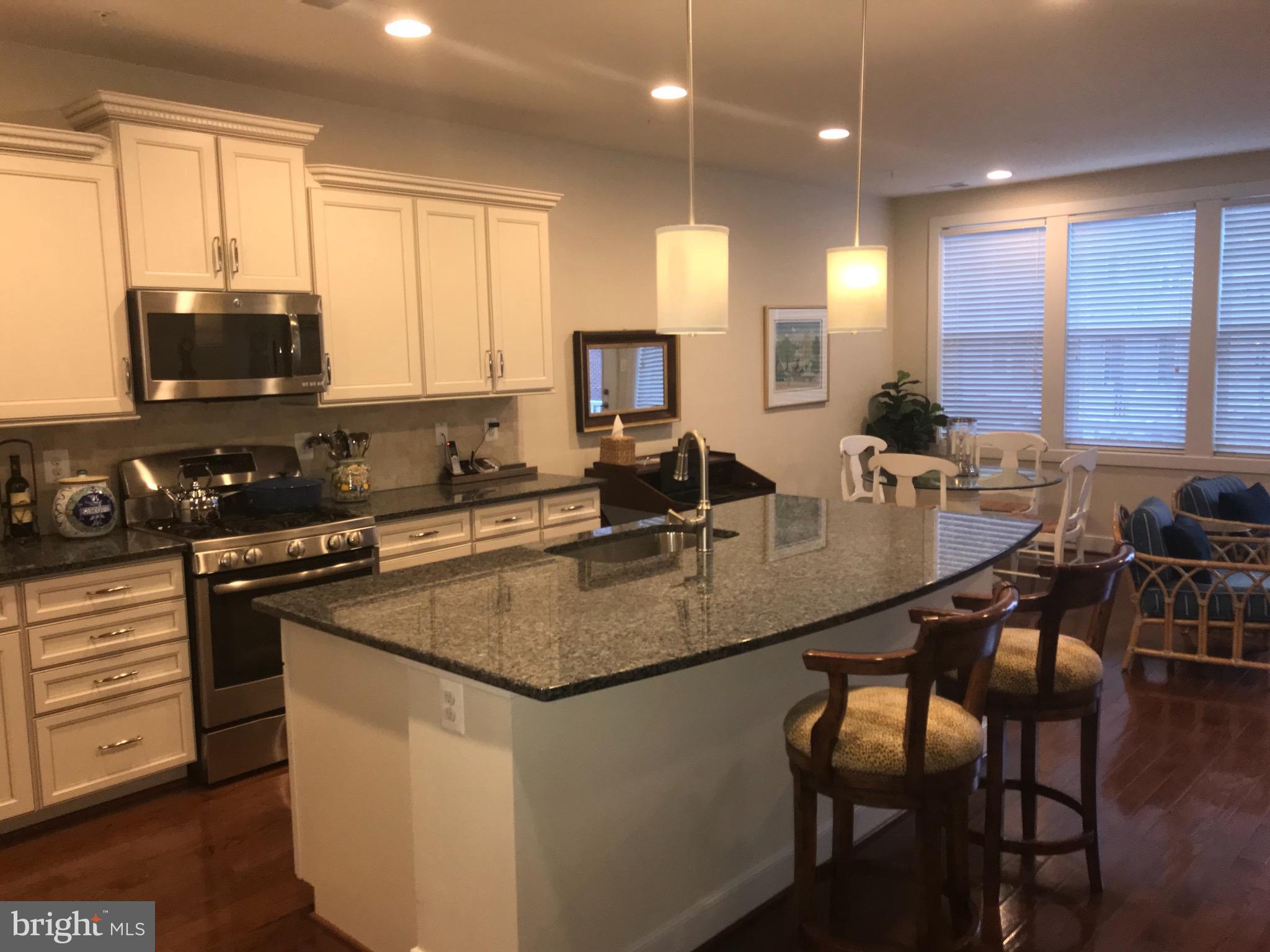 613 Hendrix Avenue Gaithersburg, MD 20878 - Photo 14 of 14 Luxurious kitchen, open floorplan