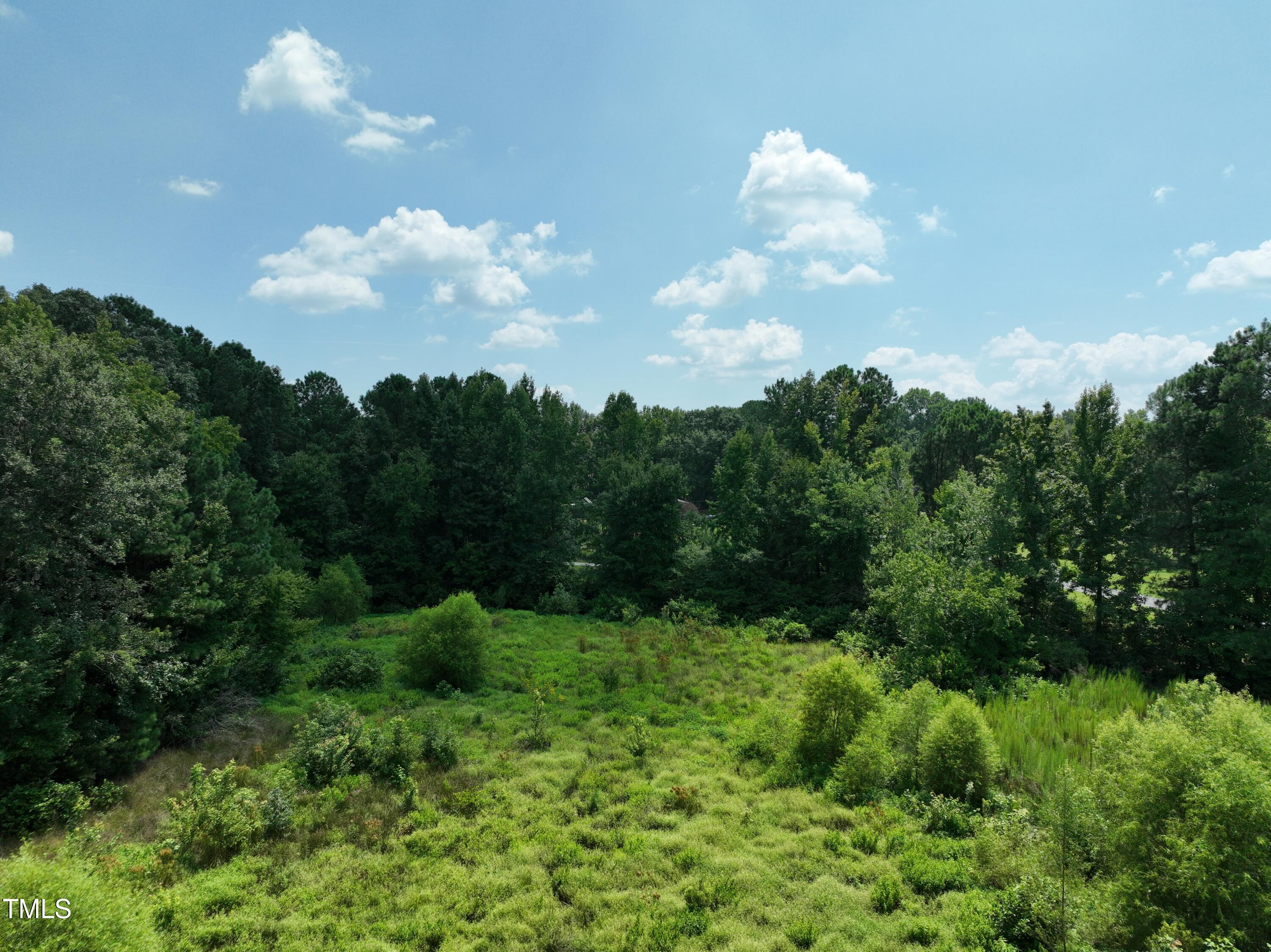 Lot 22 Ennis Road Benson, NC 27504 - Photo 7 of 14 4 (1)