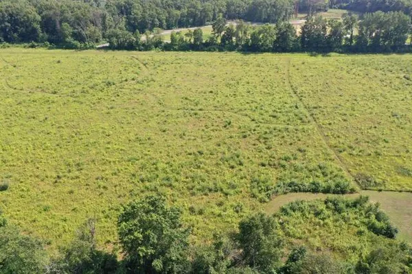 a view of a big yard with lots of green space and mountain view in back