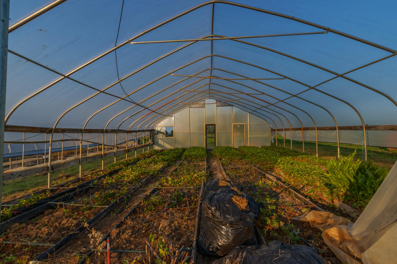 4744 Bryan Station Road Lexington, KY 40516 - Photo 62 of 67 Hoop House 2