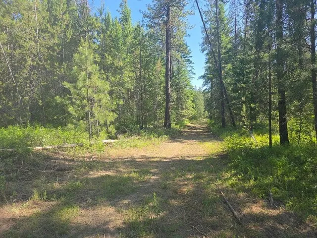 $8,800,000 | 395 Hwy Loon Lake, Loon Lake, WA 99148