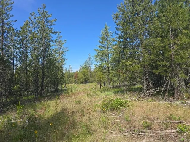 $8,800,000 | 395 Hwy Loon Lake, Loon Lake, WA 99148