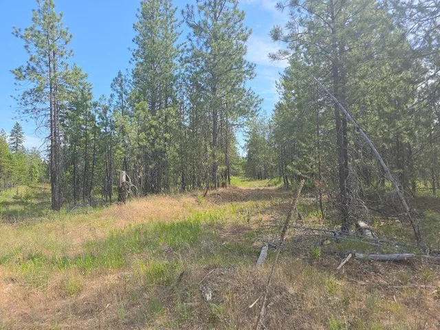 $8,800,000 | 395 Hwy Loon Lake, Loon Lake, WA 99148