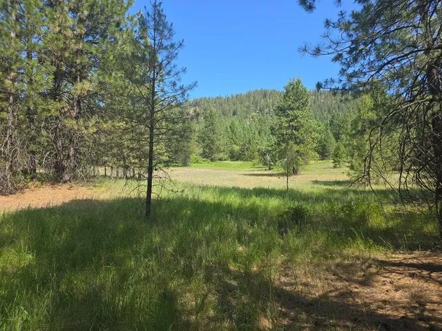 $8,800,000 | 395 Hwy Loon Lake, Loon Lake, WA 99148