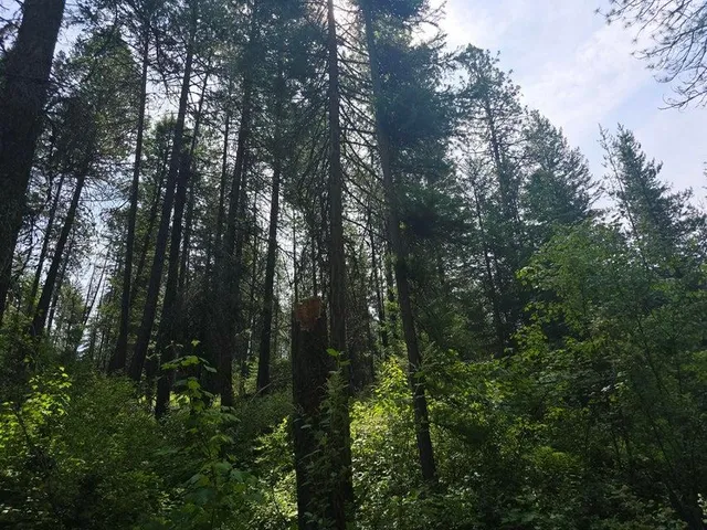 $8,800,000 | 395 Hwy Loon Lake, Loon Lake, WA 99148