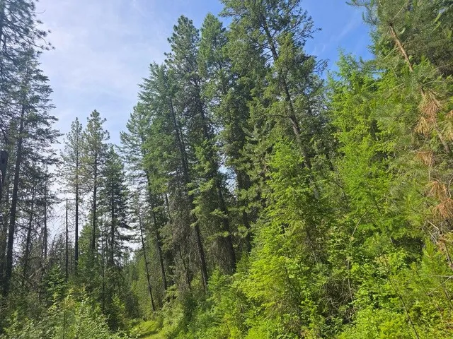 $8,800,000 | 395 Hwy Loon Lake, Loon Lake, WA 99148