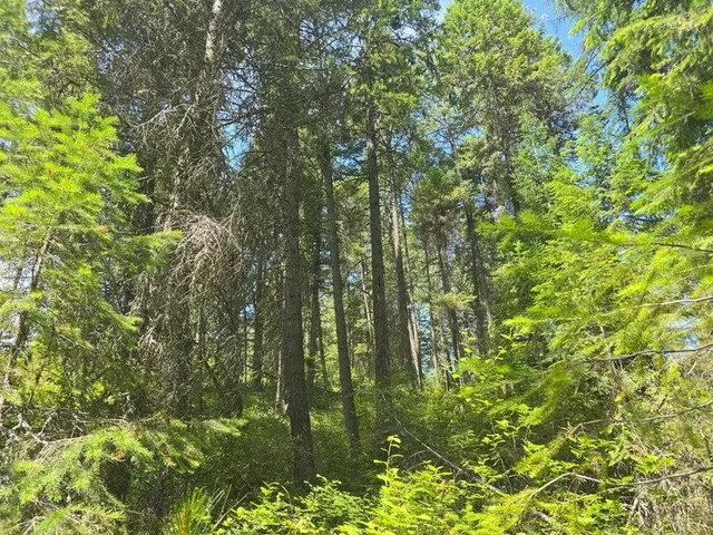 $8,800,000 | 395 Hwy Loon Lake, Loon Lake, WA 99148