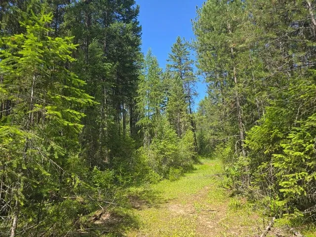 $8,800,000 | 395 Hwy Loon Lake, Loon Lake, WA 99148