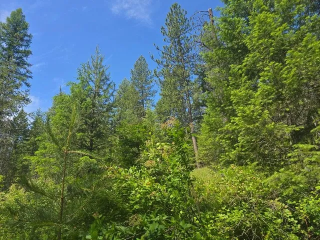 $8,800,000 | 395 Hwy Loon Lake, Loon Lake, WA 99148