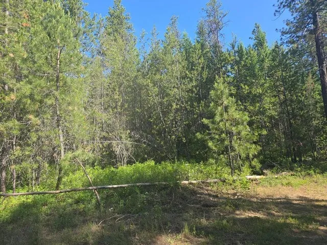 $8,800,000 | 395 Hwy Loon Lake, Loon Lake, WA 99148