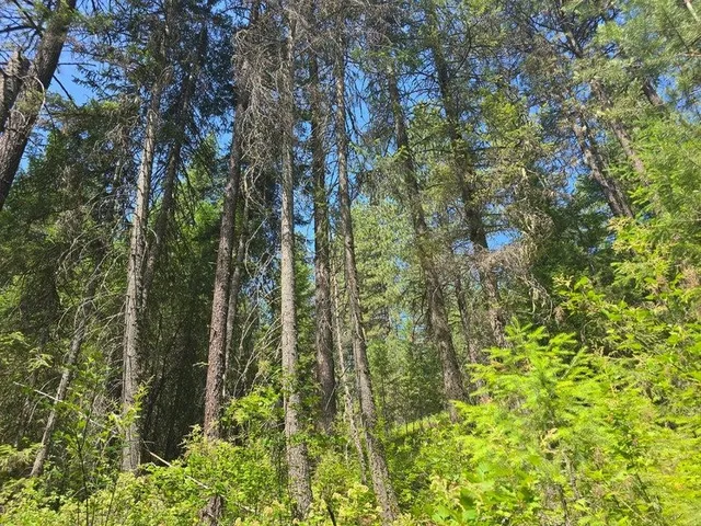 $8,800,000 | 395 Hwy Loon Lake, Loon Lake, WA 99148