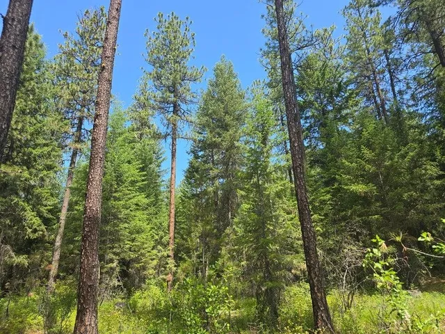 $8,800,000 | 395 Hwy Loon Lake, Loon Lake, WA 99148