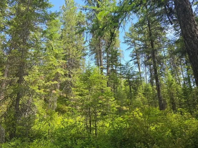 $8,800,000 | 395 Hwy Loon Lake, Loon Lake, WA 99148