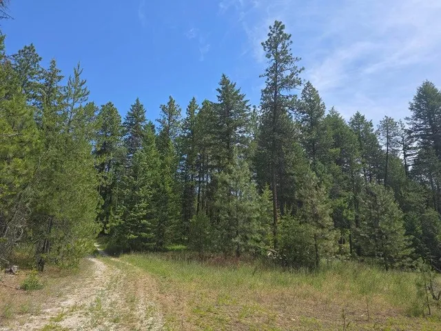 $8,800,000 | 395 Hwy Loon Lake, Loon Lake, WA 99148