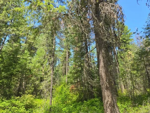 $8,800,000 | 395 Hwy Loon Lake, Loon Lake, WA 99148