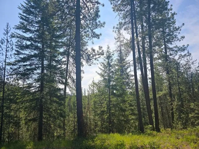 $8,800,000 | 395 Hwy Loon Lake, Loon Lake, WA 99148