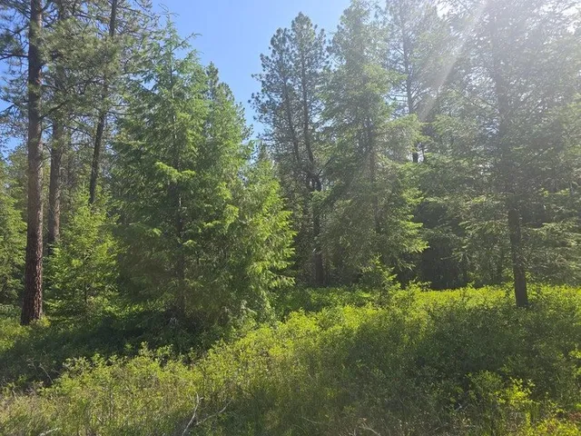 $8,800,000 | 395 Hwy Loon Lake, Loon Lake, WA 99148