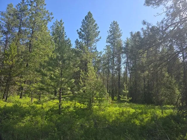 $8,800,000 | 395 Hwy Loon Lake, Loon Lake, WA 99148