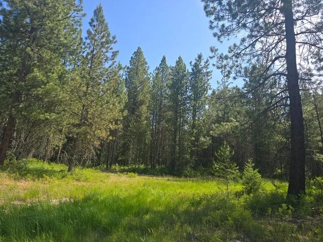 $8,800,000 | 395 Hwy Loon Lake, Loon Lake, WA 99148