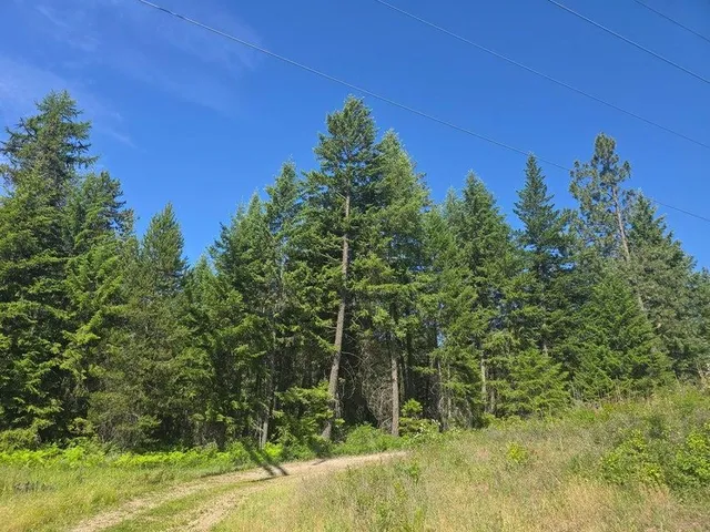 $8,800,000 | 395 Hwy Loon Lake, Loon Lake, WA 99148