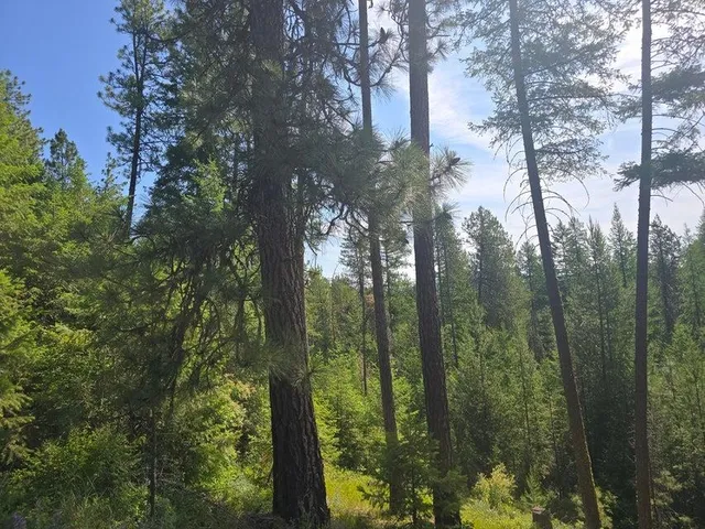 $8,800,000 | 395 Hwy Loon Lake, Loon Lake, WA 99148