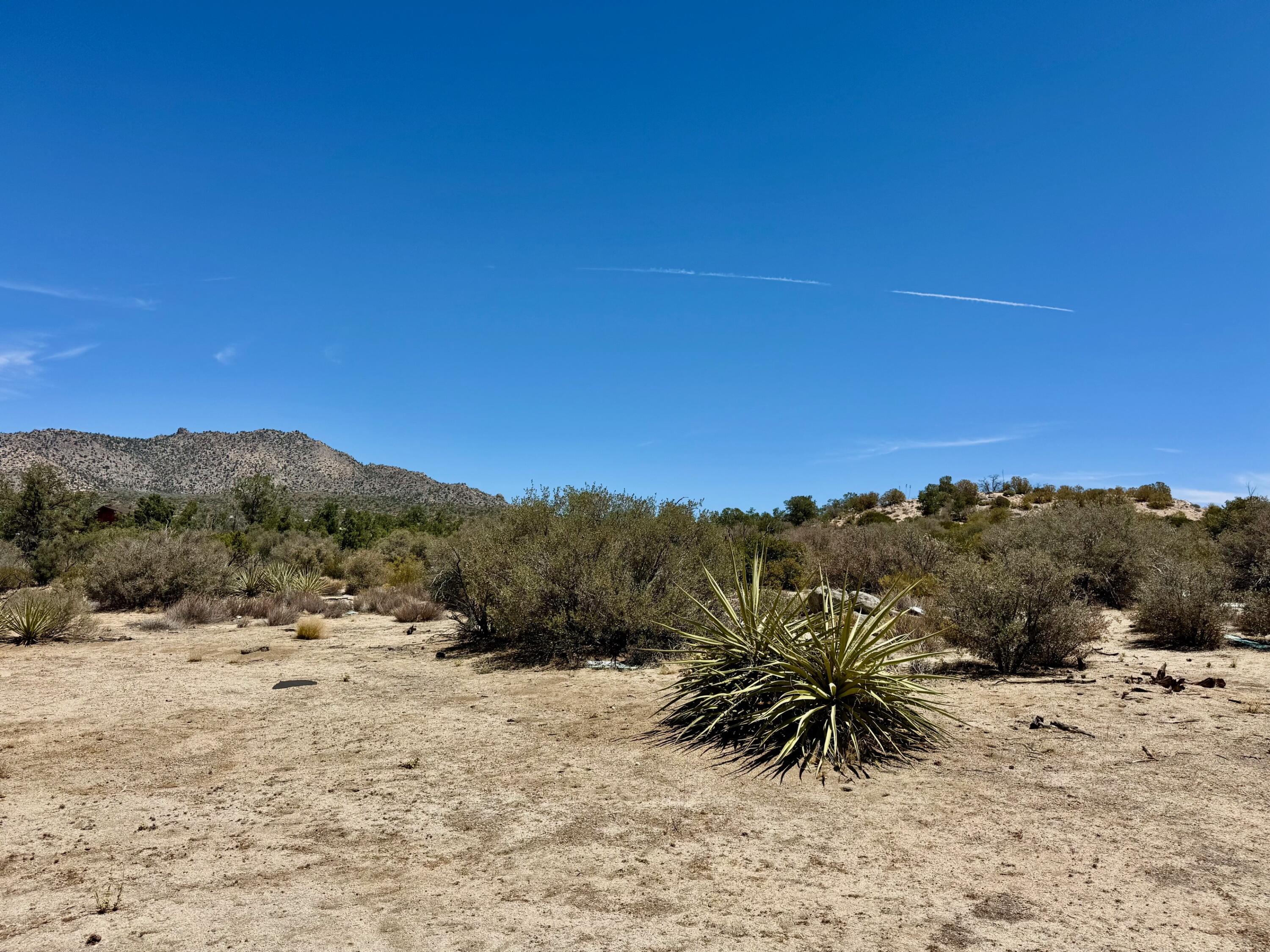 61550 Jeraboa Road Mountain Center, CA 92561 - Photo 11 of 13