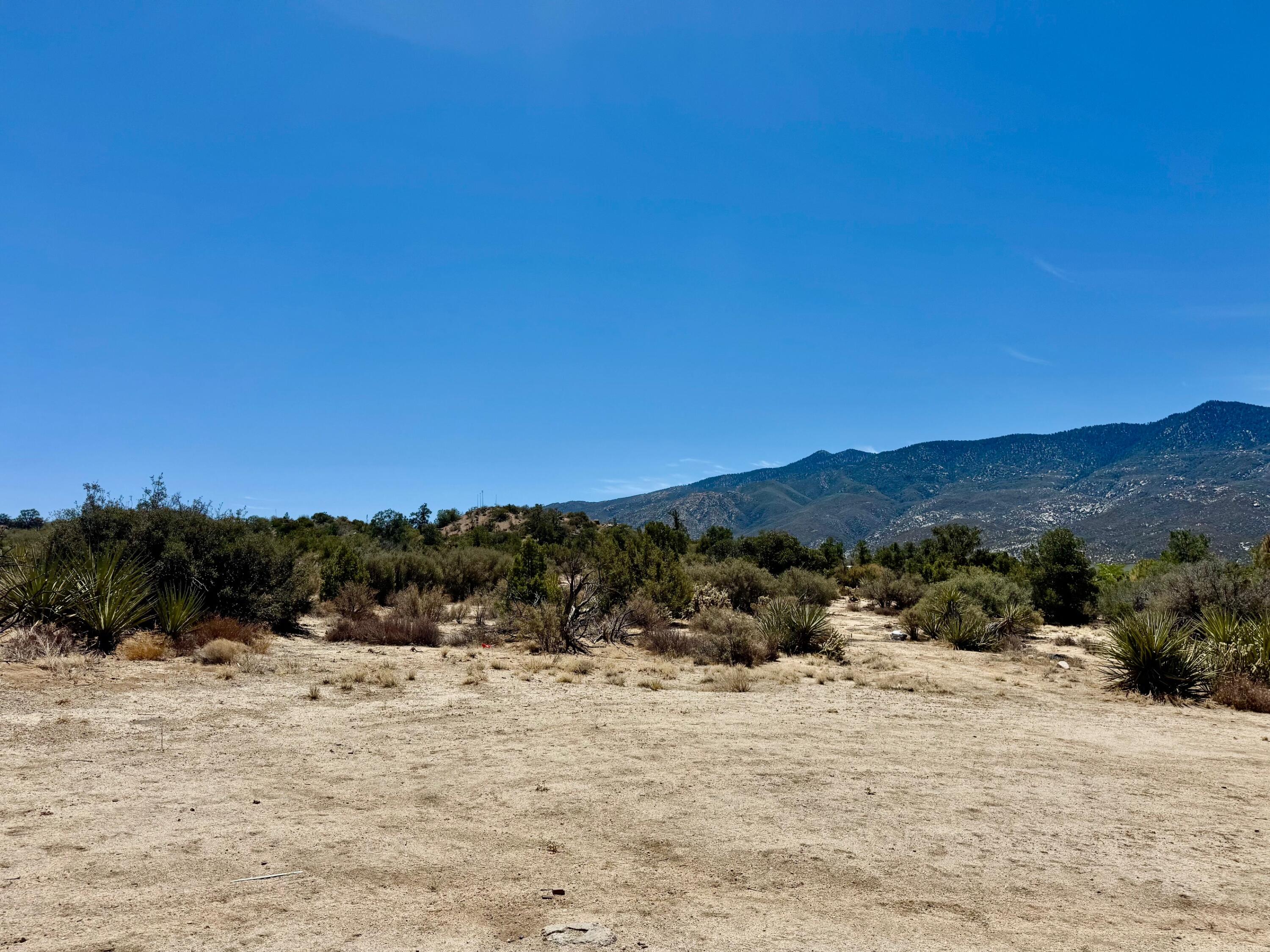 61550 Jeraboa Road Mountain Center, CA 92561 - Photo 13 of 13 a view of mountain view with lots of trees