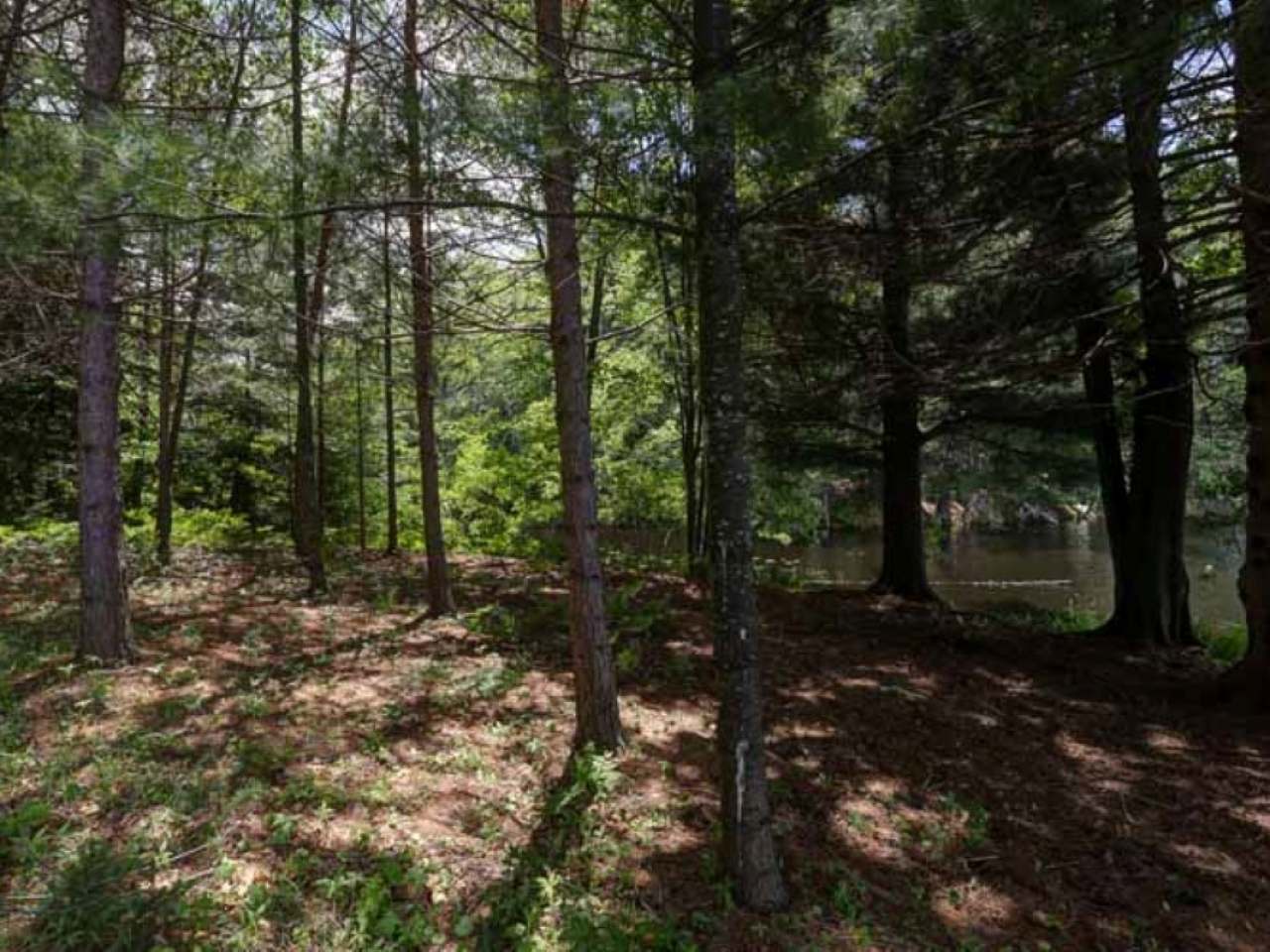 4131 Cth Road Rhinelander, WI 54501 - Photo 35 of 80 Gallery Image 35