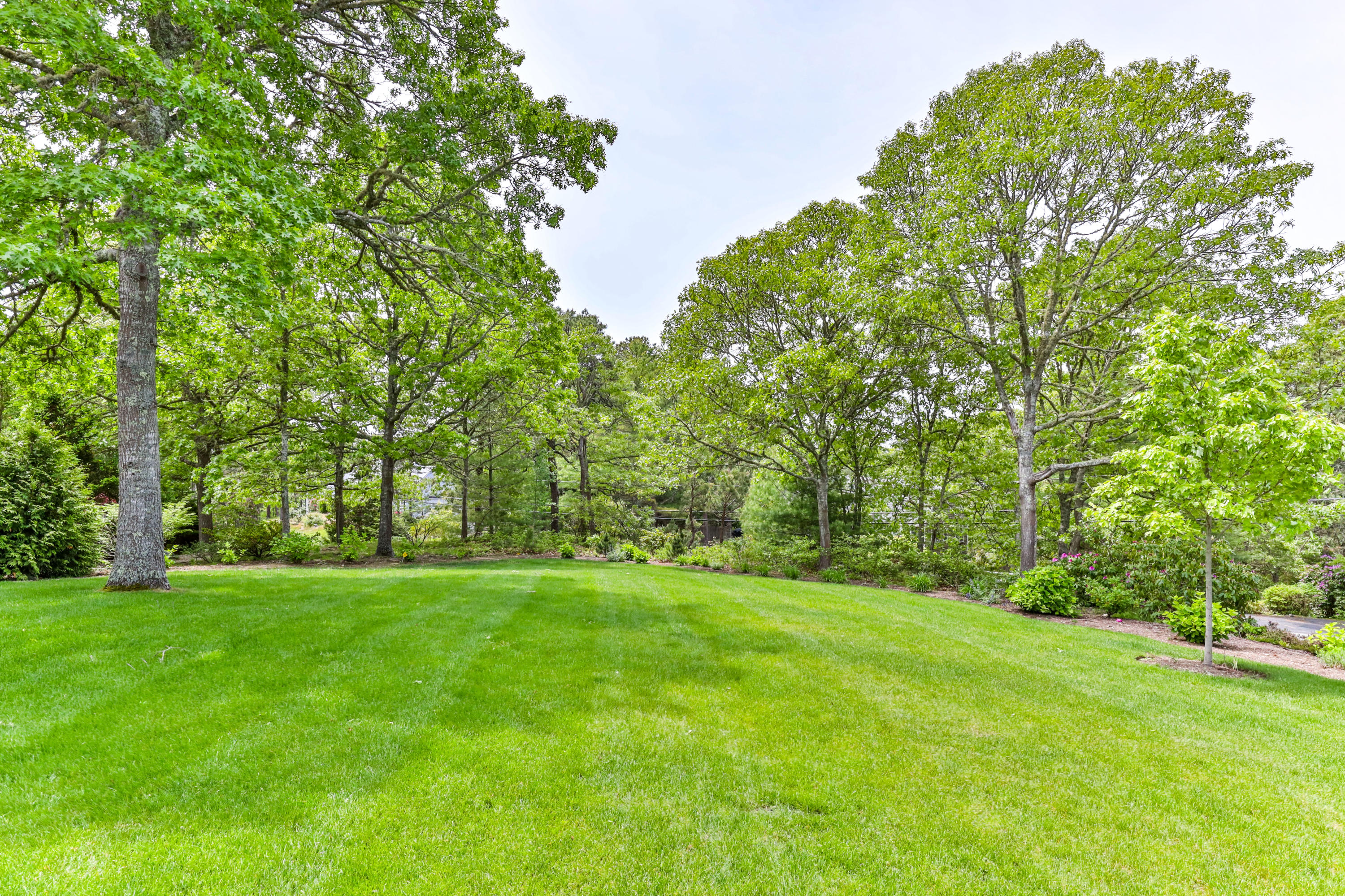 88 Round Cove Road Chatham, MA 02633 - Photo 52 of 58 a view of a grassy field with trees in the background