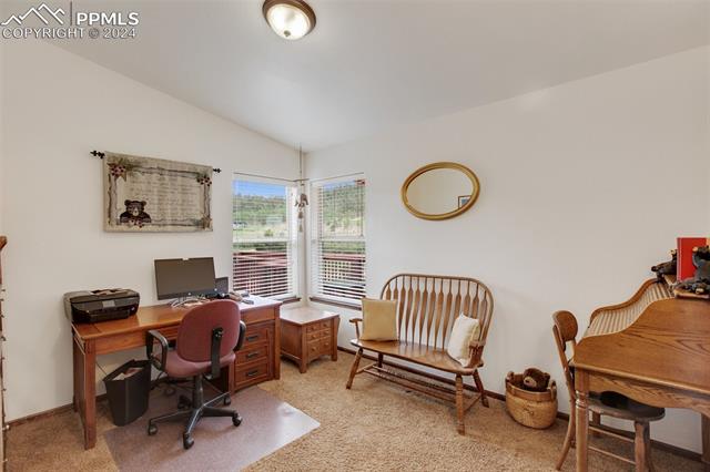 35 Cree Path Lake George, CO 80827 - Photo 20 of 46 Carpeted office with vaulted ceiling