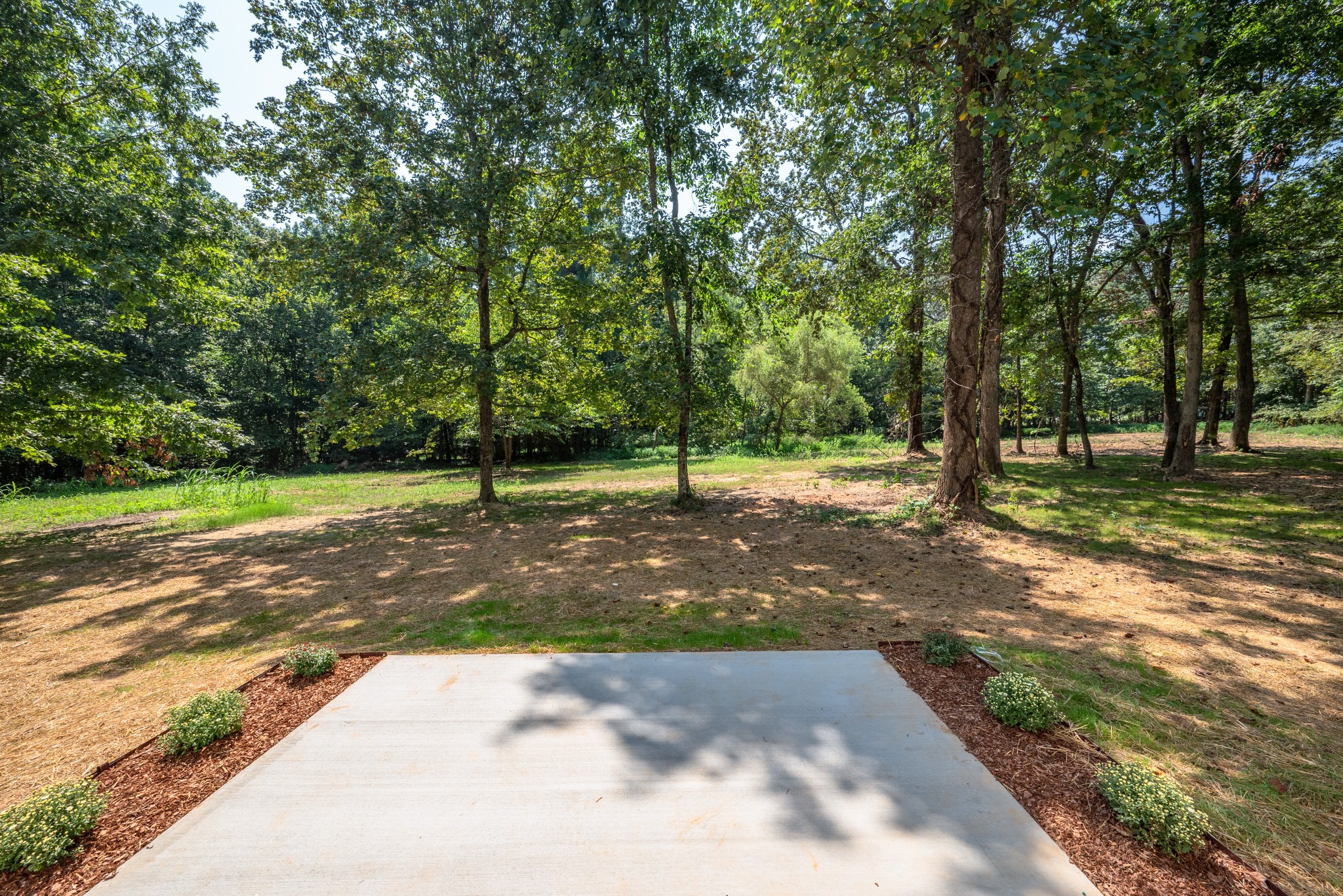 9064 New Chapel Road Springfield, TN 37172 - Photo 23 of 33 a view of a yard with plants and trees